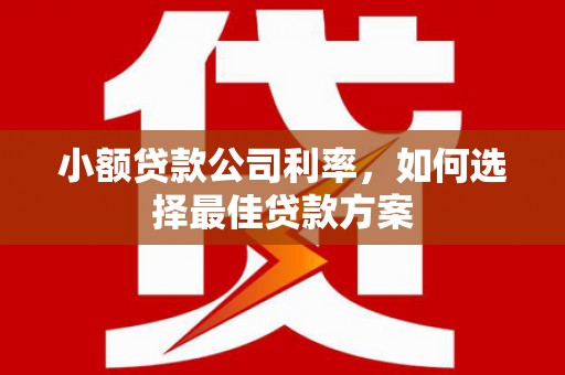 太保小额贷款公司利率，如何选择最佳贷款方案