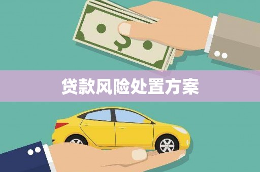 太保贷款风险处置方案