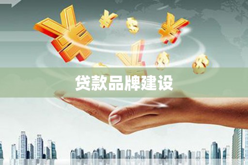 太保贷款品牌建设