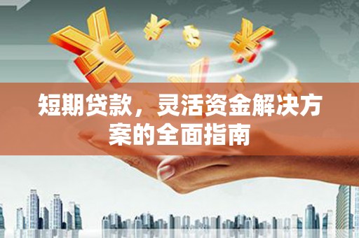 太保短期贷款，灵活资金解决方案的全面指南