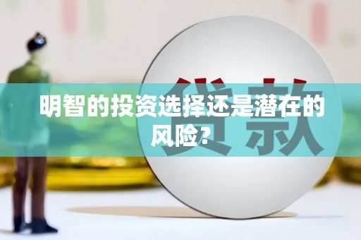 太保明智的投资选择还是潜在的风险？