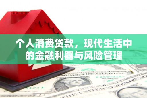 太保个人消费贷款，现代生活中的金融利器与风险管理