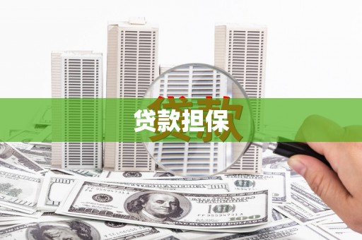 太保贷款担保