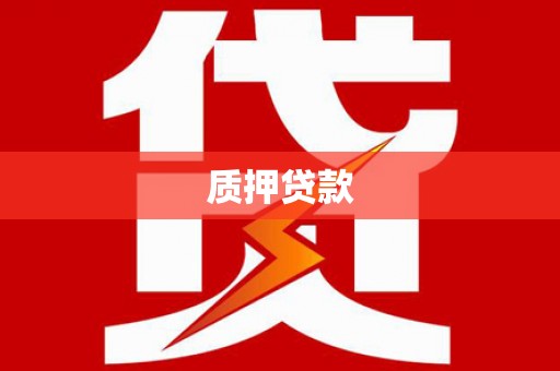 太保质押贷款