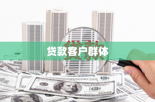 太保贷款客户群体