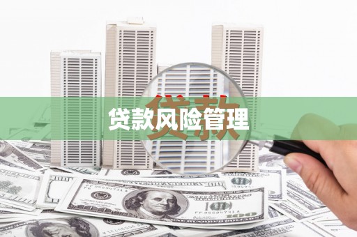 太保贷款风险管理