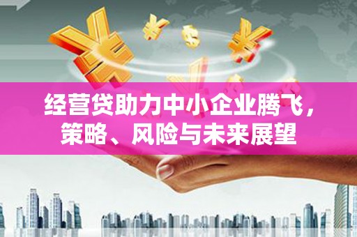 太保经营贷助力中小企业腾飞，策略、风险与未来展望