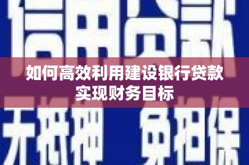 太保如何高效利用建设银行贷款实现财务目标