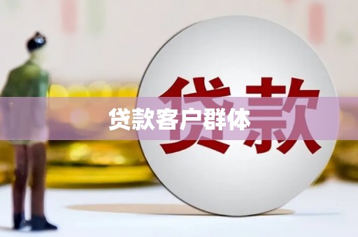 太保贷款客户群体
