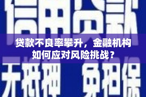 太保贷款不良率攀升，金融机构如何应对风险挑战？