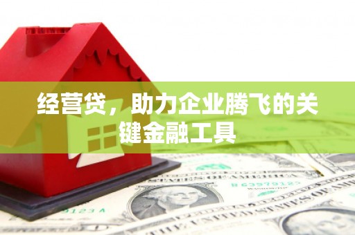 太保经营贷，助力企业腾飞的关键金融工具
