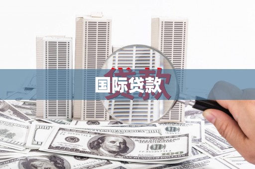太保国际贷款
