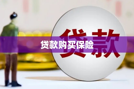 太保贷款购买保险