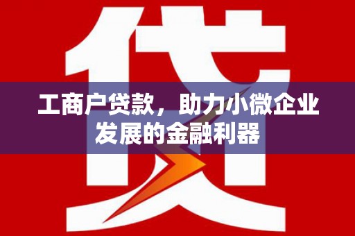 太保工商户贷款，助力小微企业发展的金融利器