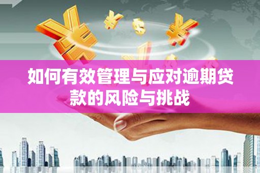 太保如何有效管理与应对逾期贷款的风险与挑战