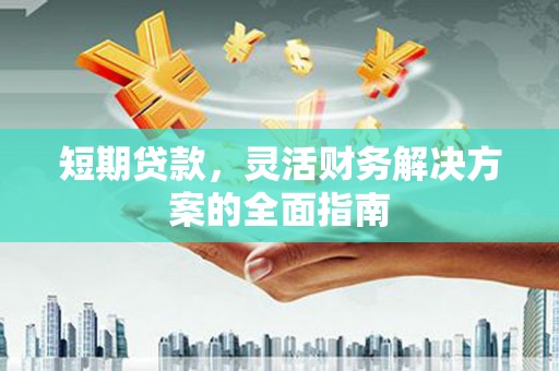 太保短期贷款，灵活财务解决方案的全面指南