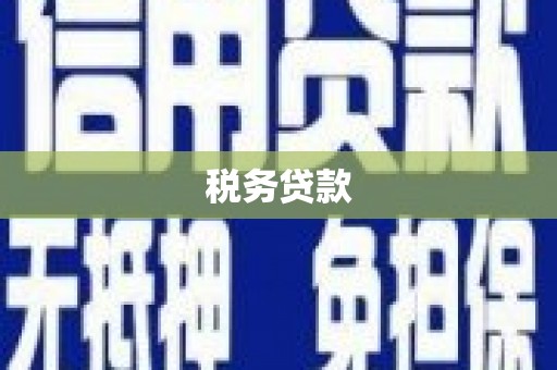 太保税务贷款