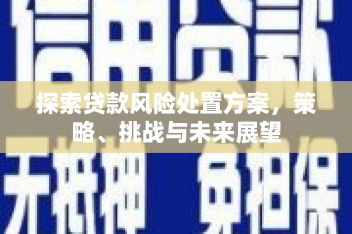太保探索贷款风险处置方案，策略、挑战与未来展望