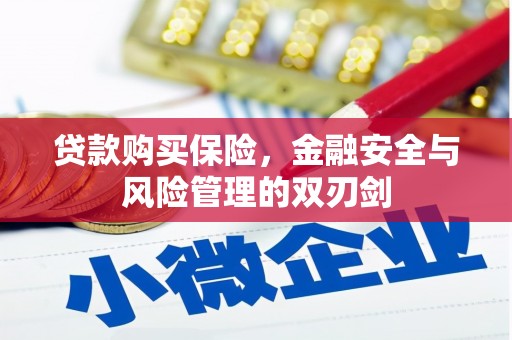 太保贷款购买保险，金融安全与风险管理的双刃剑