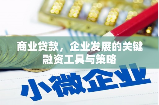 太保商业贷款，企业发展的关键融资工具与策略