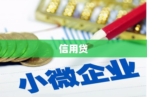 太保信用贷