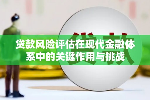 太保贷款风险评估在现代金融体系中的关键作用与挑战