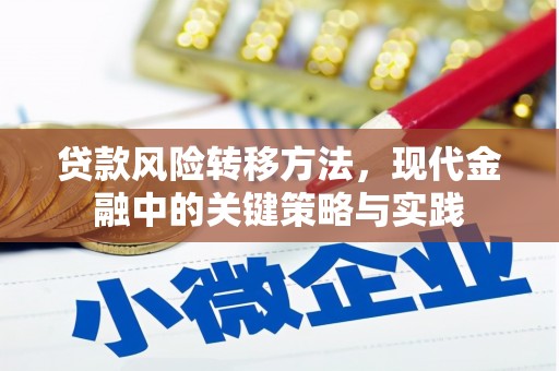 太保贷款风险转移方法，现代金融中的关键策略与实践