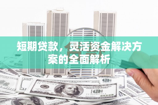 太保短期贷款，灵活资金解决方案的全面解析