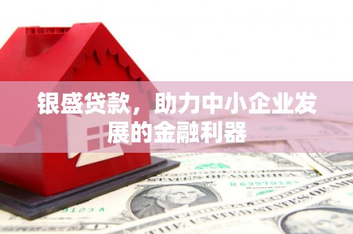 太保银盛贷款，助力中小企业发展的金融利器