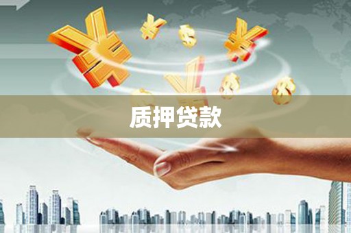 太保质押贷款