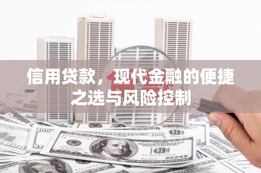 太保信用贷款，现代金融的便捷之选与风险控制