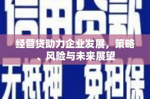 太保经营贷助力企业发展，策略、风险与未来展望