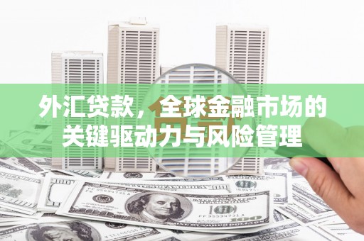 太保外汇贷款，全球金融市场的关键驱动力与风险管理