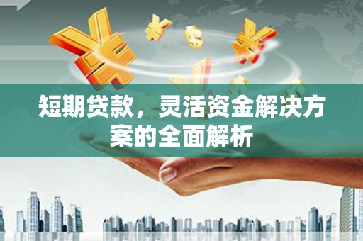 太保短期贷款，灵活资金解决方案的全面解析