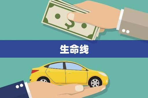 太保生命线