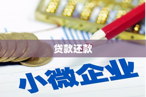 太保贷款还款