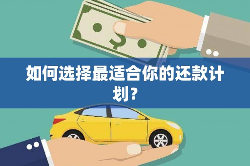 太保如何选择最适合你的还款计划？