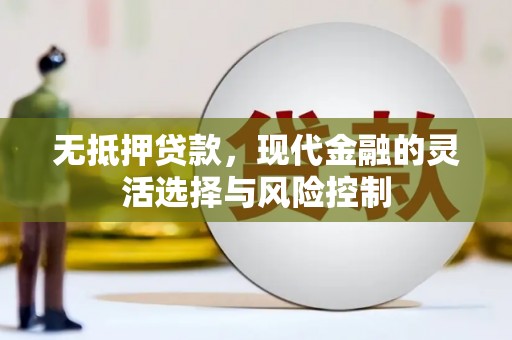 太保无抵押贷款，现代金融的灵活选择与风险控制