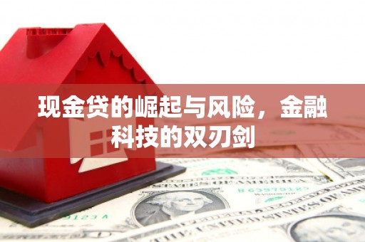 太保现金贷的崛起与风险，金融科技的双刃剑