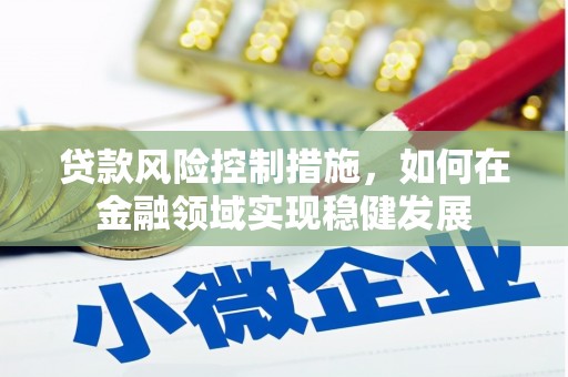 太保贷款风险控制措施，如何在金融领域实现稳健发展