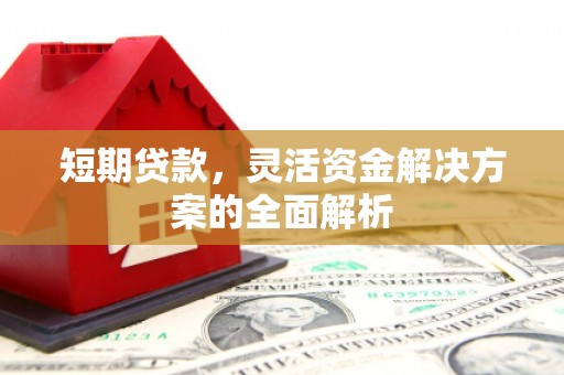 太保短期贷款，灵活资金解决方案的全面解析
