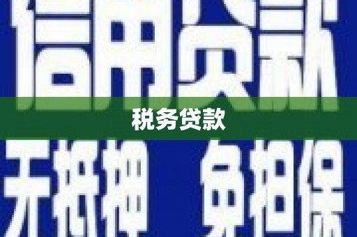 太保税务贷款