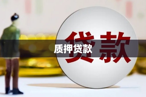 太保质押贷款