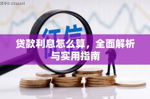 太保贷款利息怎么算，全面解析与实用指南