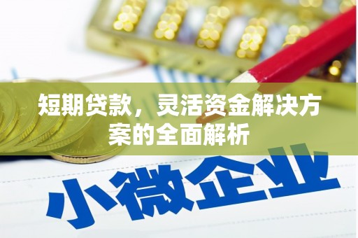 太保短期贷款，灵活资金解决方案的全面解析