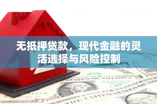 太保无抵押贷款，现代金融的灵活选择与风险控制