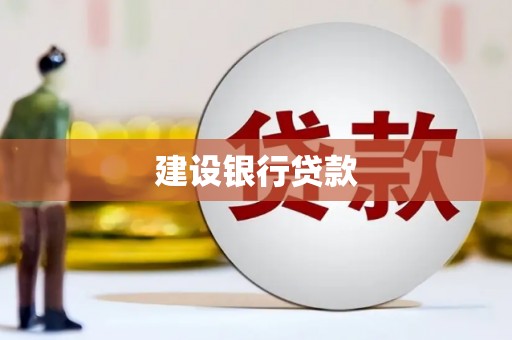 太保建设银行贷款