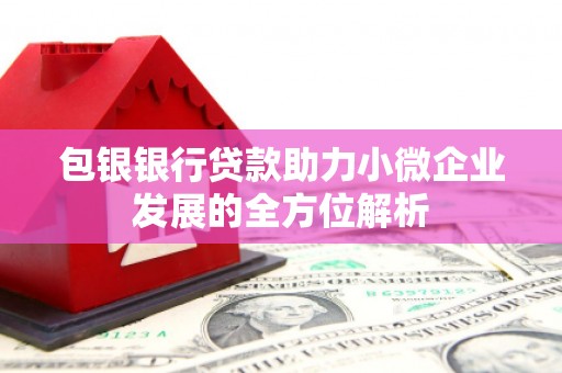 太保包银银行贷款助力小微企业发展的全方位解析
