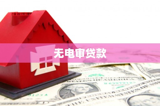 太保无电审贷款