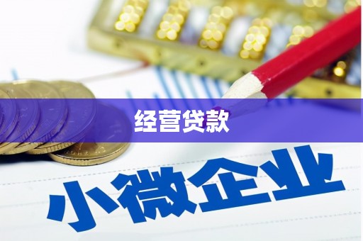 太保经营贷款